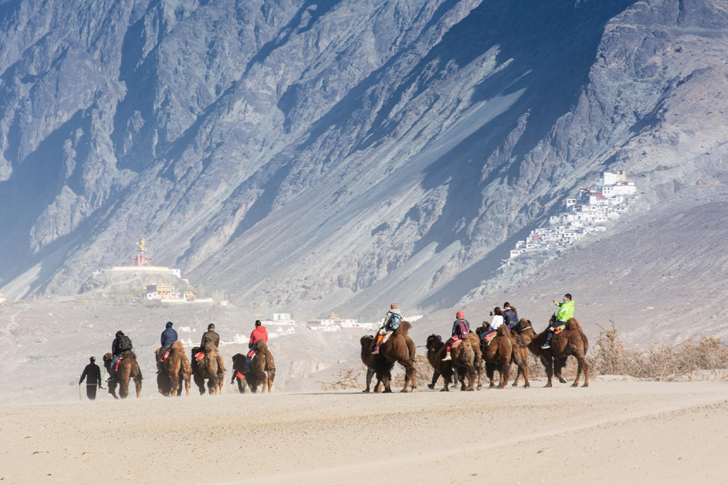 Sand Dunes & Camel Safari